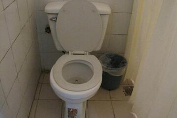 Photo 38