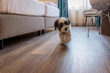 Pet-friendly