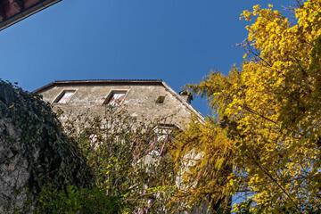 Photo 51