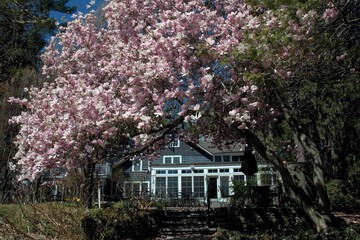 Land view from property