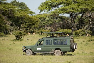 Safari
