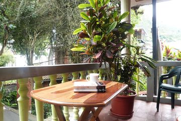 Courtyard view