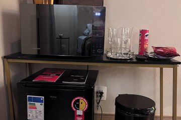 Mini-refrigerator