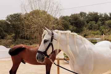 Horseback riding