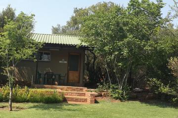 Photo 41