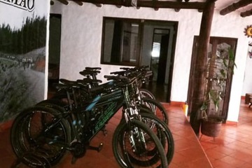 Bicycling