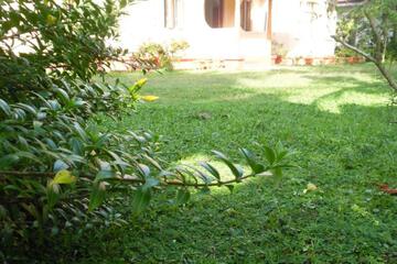 Photo 35