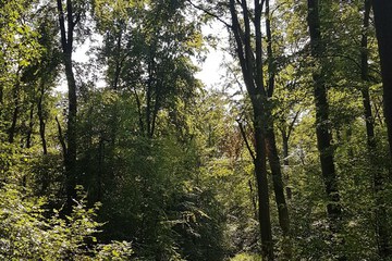 Hiking