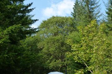 Photo 29