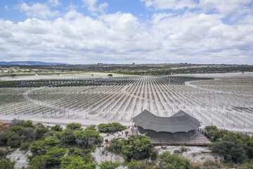 Land view from property