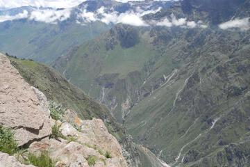 Photo 77