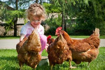 Children's activities
