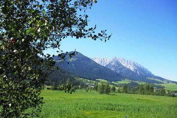 Photo 42