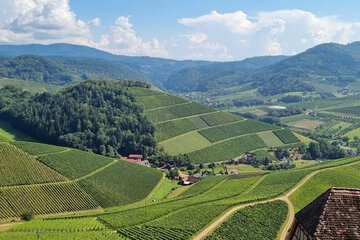 Land view from property
