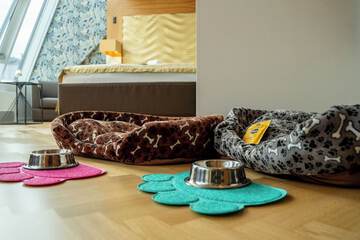 Pet-friendly amenities