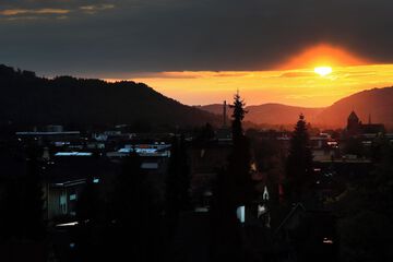 Park view