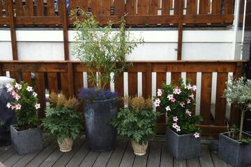 Photo 30