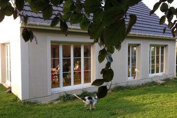 Photo 38