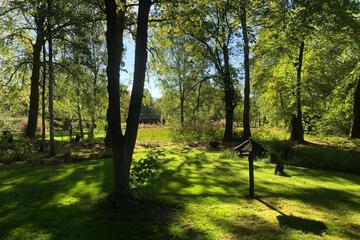 Photo 28