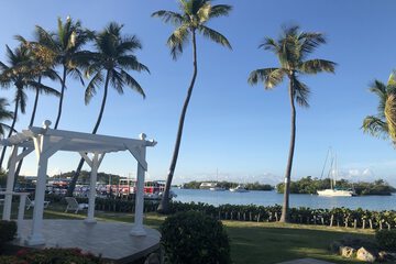 Outdoor wedding area