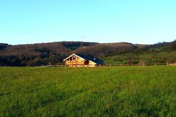 Photo 40