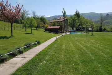 Photo 42