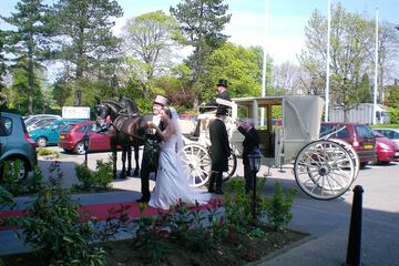 Outdoor wedding area