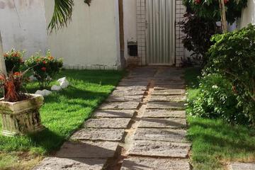 Photo 24