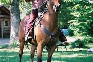 Health and Fitness 40 of 61