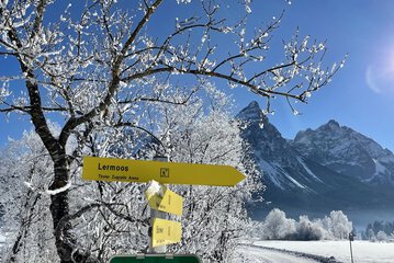 Snowshoeing