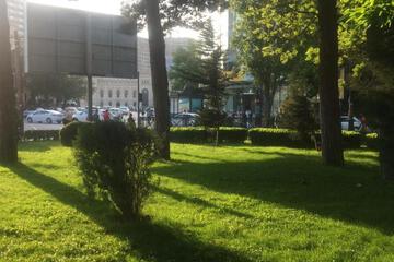 Photo 27
