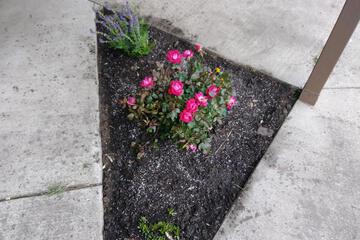 Photo 33