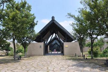 Photo 45