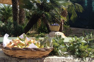 Outdoor banquet area