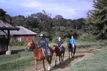 Horseback riding