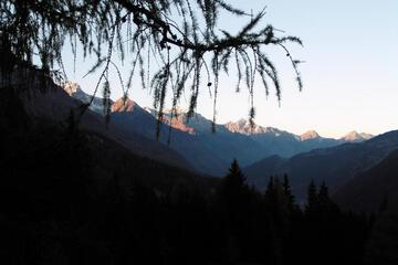 Photo 33