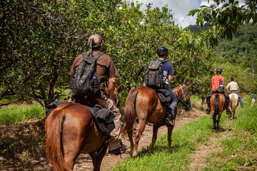 Horseback riding