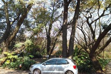Photo 21