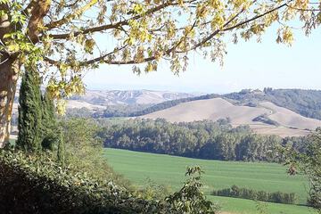 Hill view