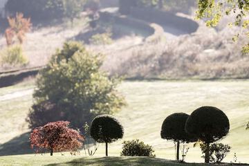 Golf view