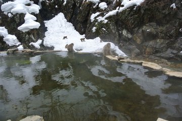 Hot springs