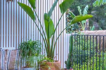 Garden view