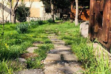 Photo 42