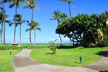 Outdoor wedding area
