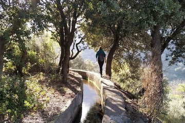 Hiking