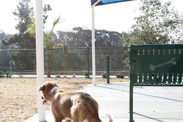 Pet-friendly amenities