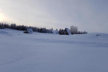 Photo 38