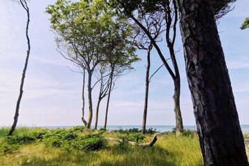 Land view from property