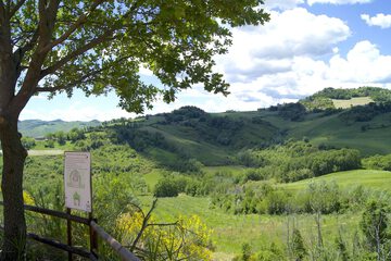 Hiking