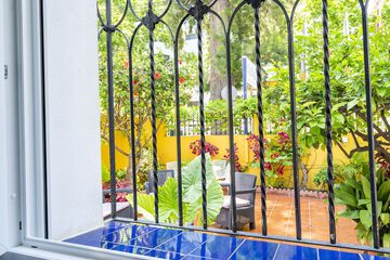 Garden view